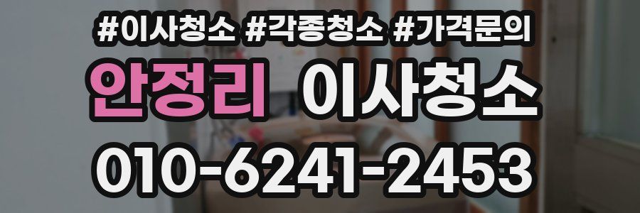 안정리 이사청소