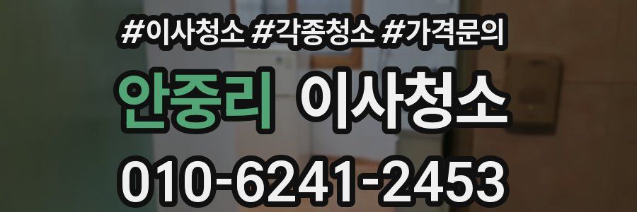 안중리 이사청소