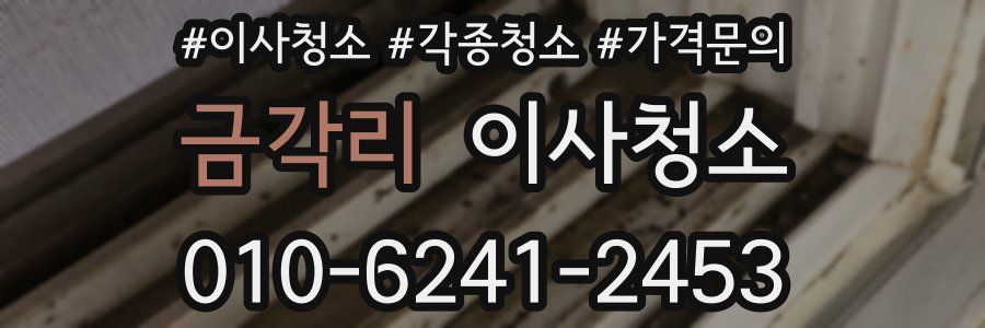 금각리 이사청소