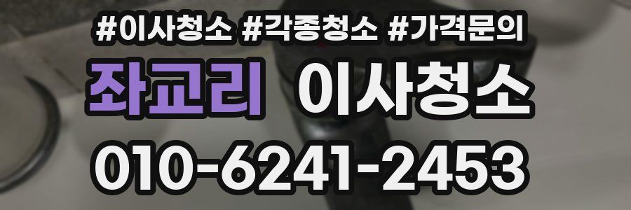 좌교리 이사청소