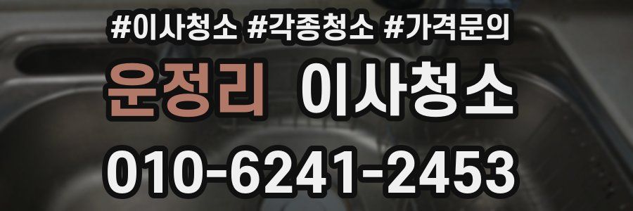 운정리 이사청소