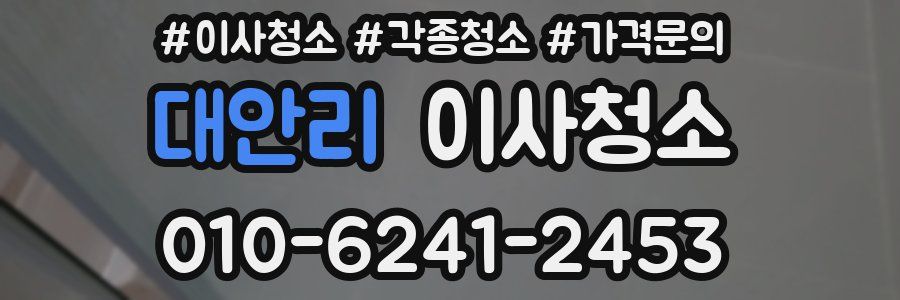 대안리 이사청소