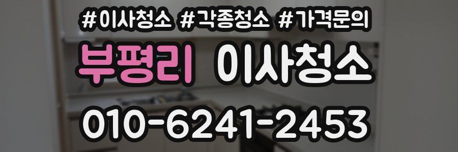 부평리 이사청소