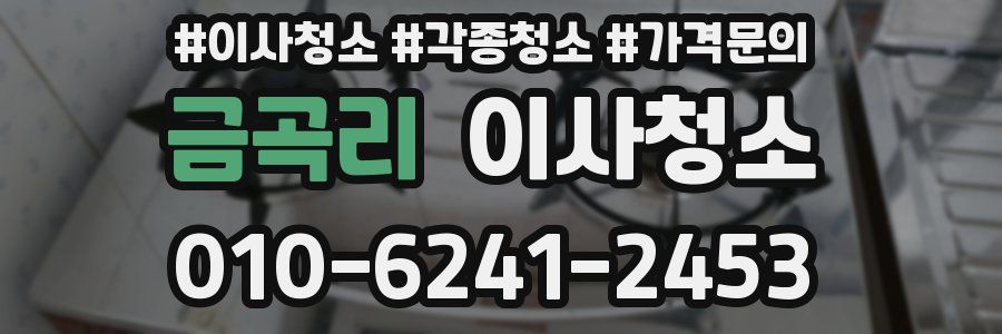 금곡리 이사청소
