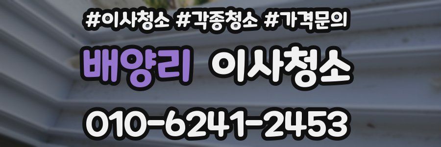배양리 이사청소