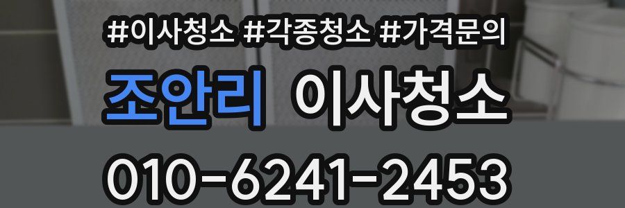 조안리 이사청소