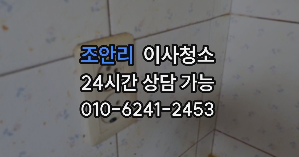 조안리 입주청소