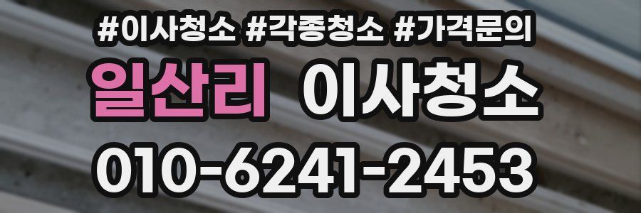 일산리 이사청소