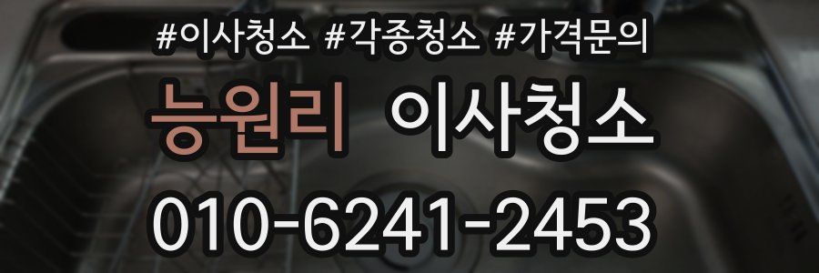 능원리 이사청소