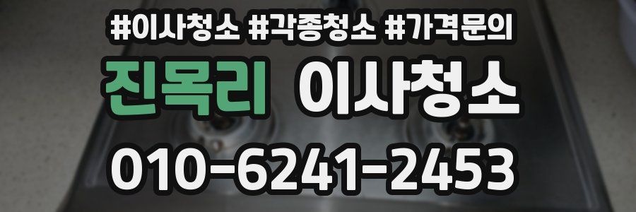 진목리 이사청소