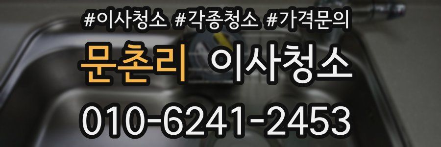 문촌리 이사청소