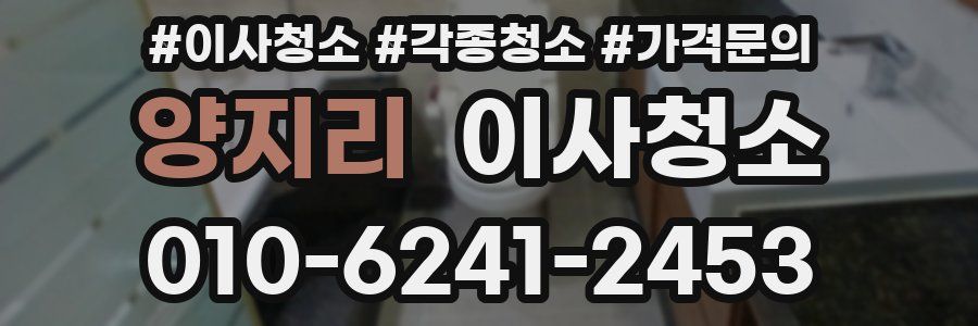 양지리 이사청소