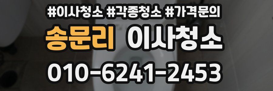 송문리 이사청소