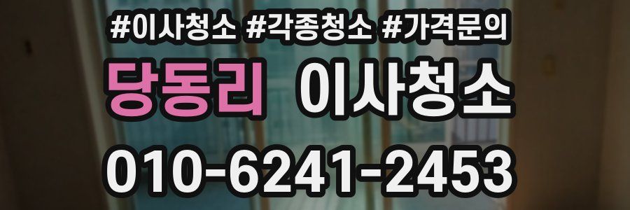 당동리 이사청소