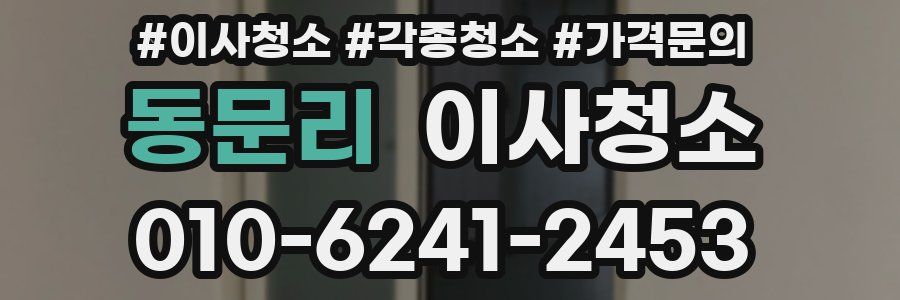 동문리 이사청소