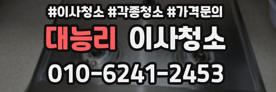 대능리 이사청소