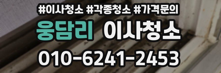 웅담리 이사청소