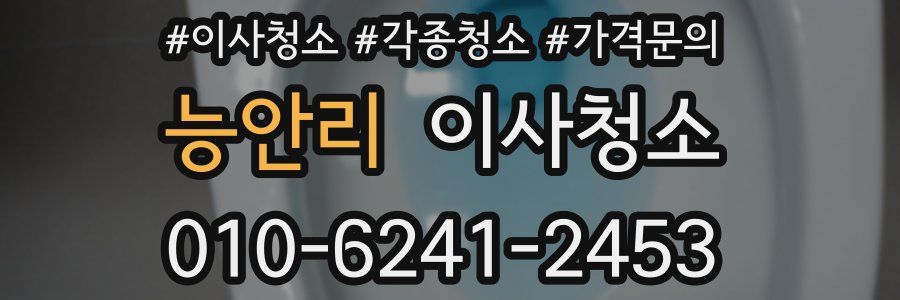 능안리 이사청소