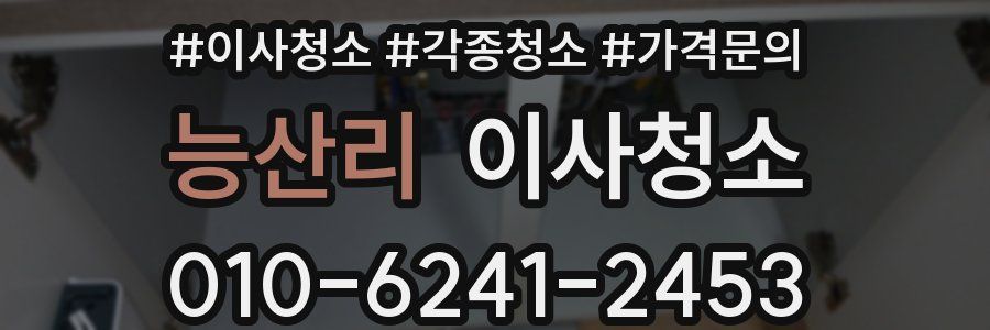 능산리 이사청소