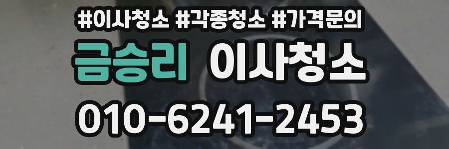 금승리 이사청소