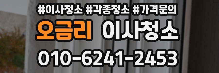 오금리 이사청소