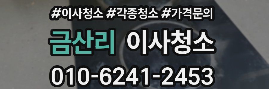 금산리 이사청소