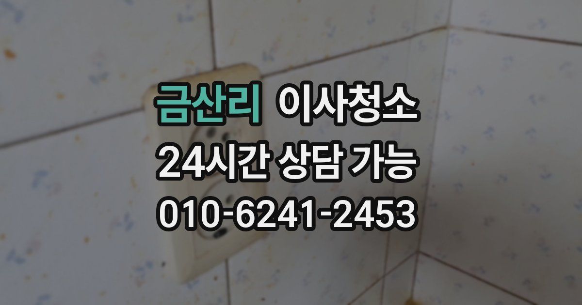 금산리 입주청소