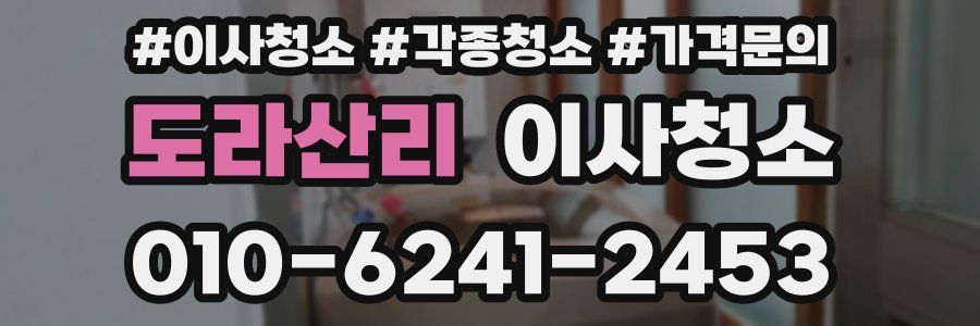 도라산리 이사청소