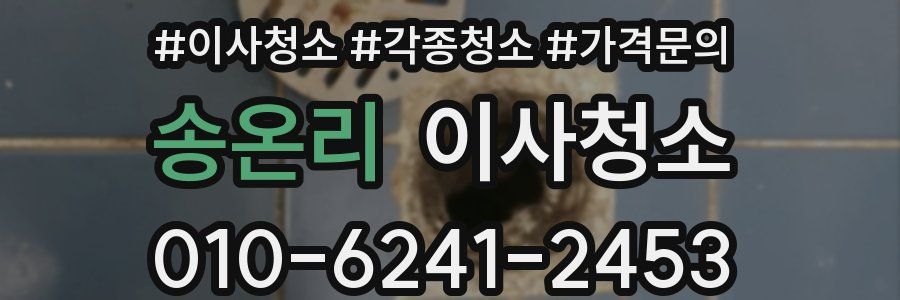 송온리 이사청소