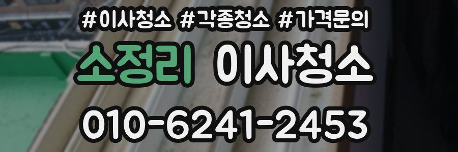 소정리 이사청소