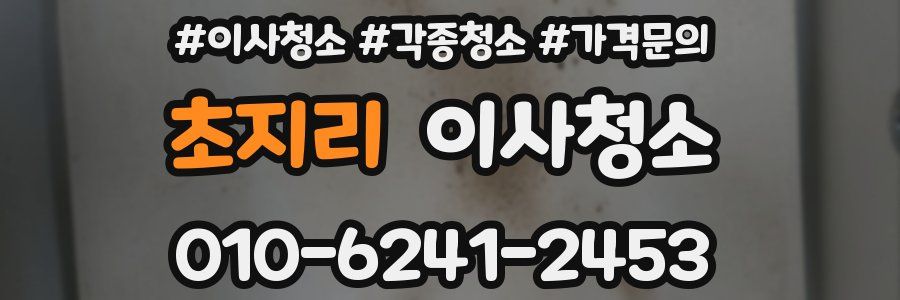 초지리 이사청소