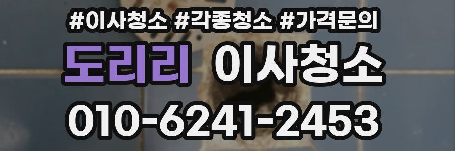 도리리 이사청소