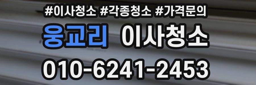 웅교리 이사청소