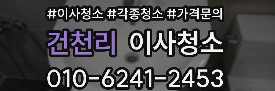 건천리 이사청소