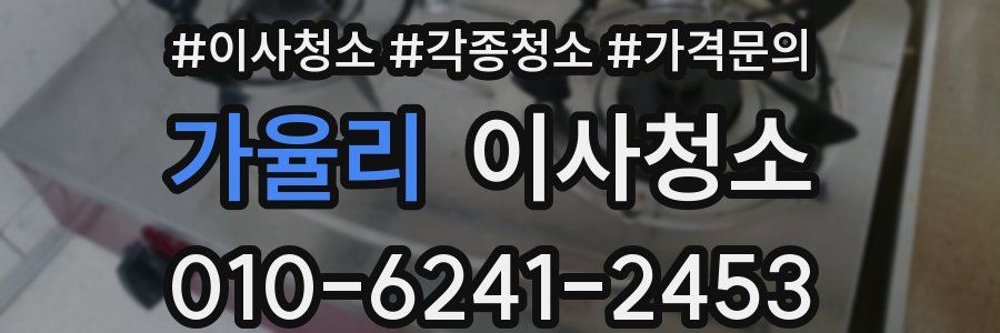 가율리 이사청소