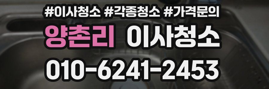 양촌리 이사청소