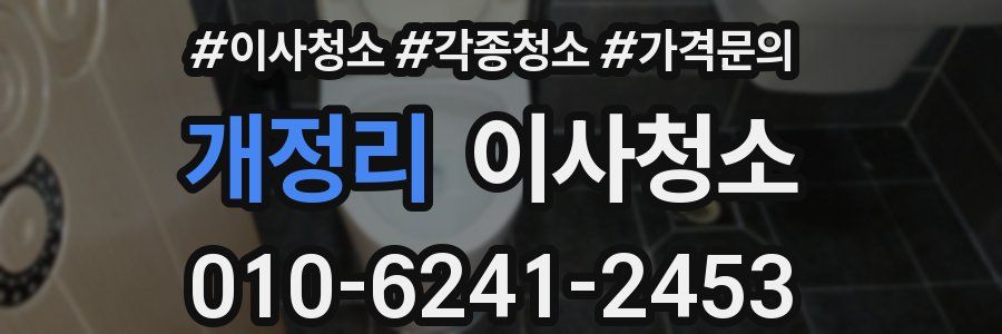 개정리 이사청소