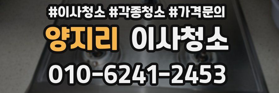 양지리 이사청소