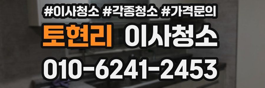 토현리 이사청소