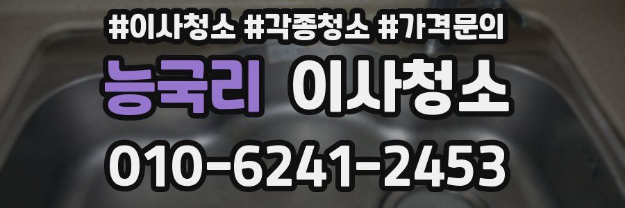 능국리 이사청소