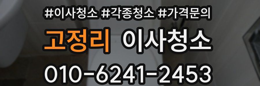 고정리 이사청소