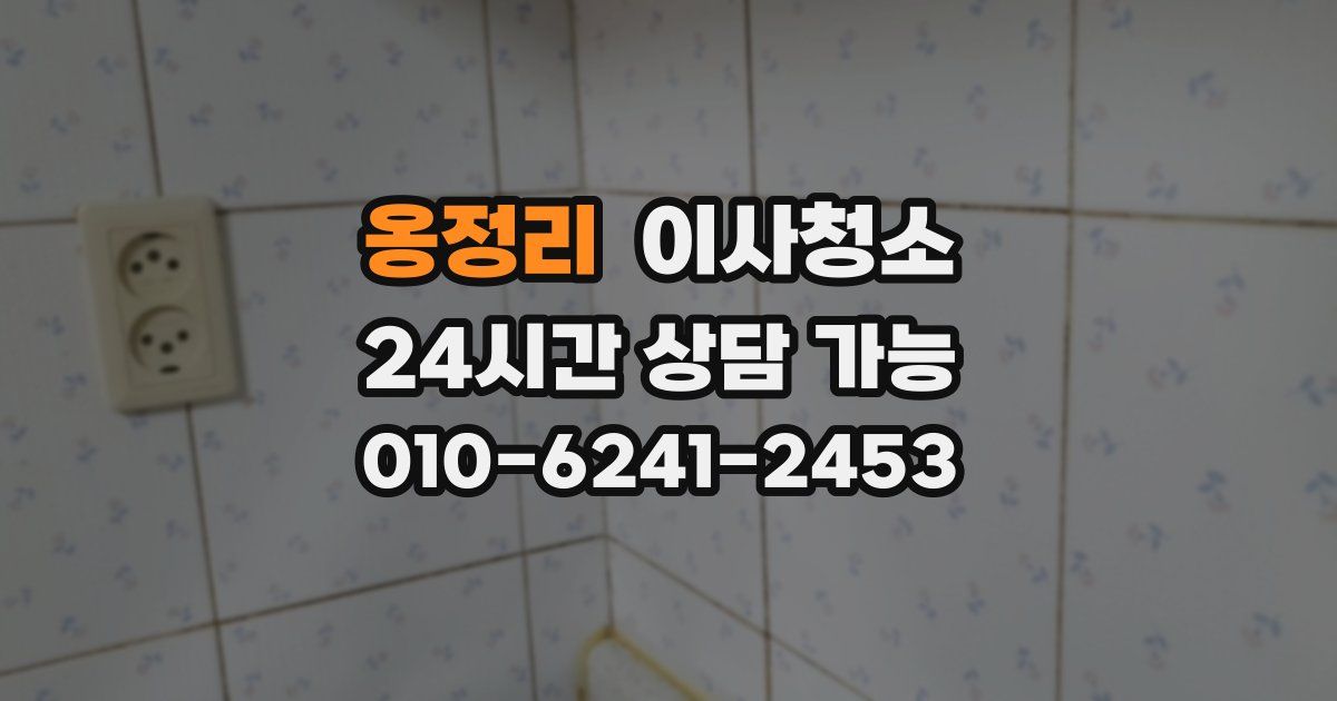 옹정리 입주청소