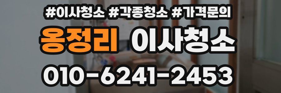 옹정리 이사청소