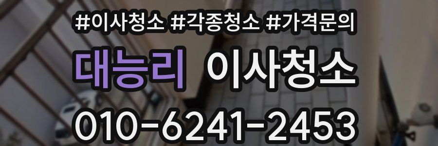 대능리 이사청소