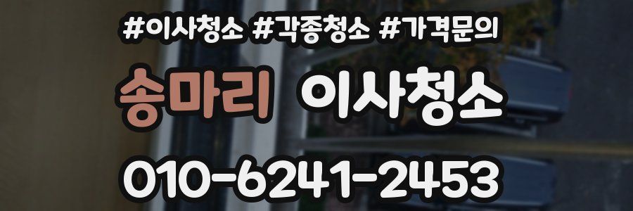 송마리 이사청소