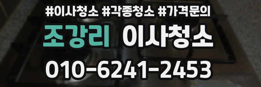 조강리 이사청소