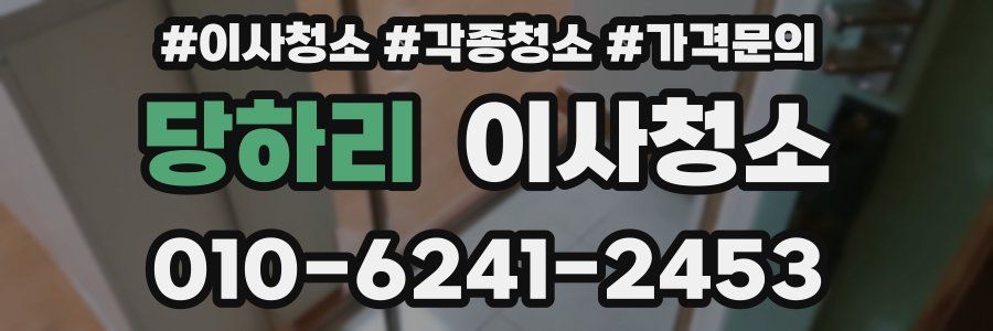 당하리 이사청소