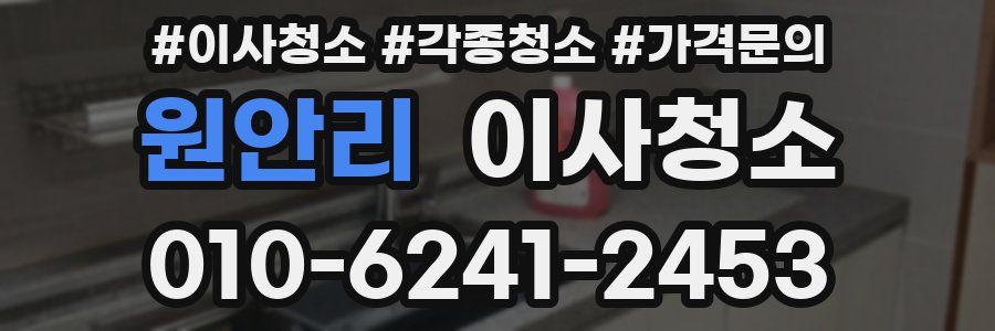 원안리 이사청소