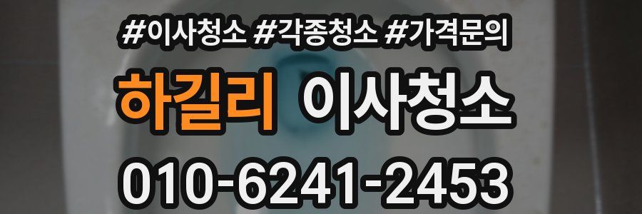 하길리 이사청소