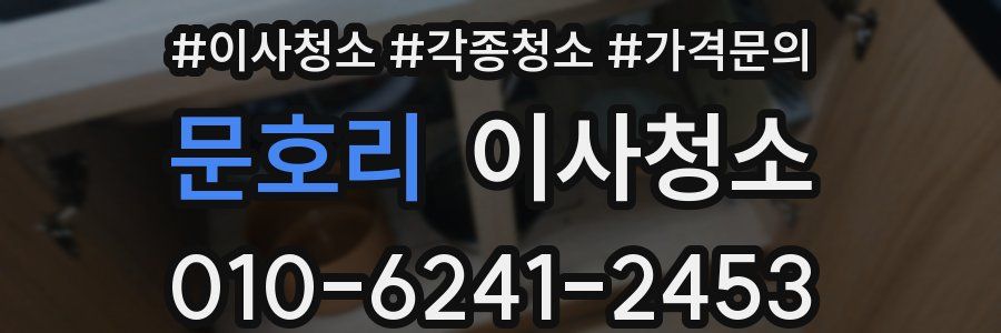 문호리 이사청소